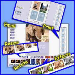 resize print digital photo editor