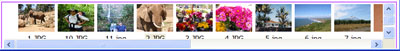 picture viewer thumbnail browser